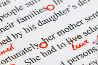 proofread and edit your document within 24 hours