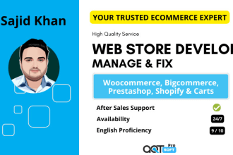 build your wordpress website