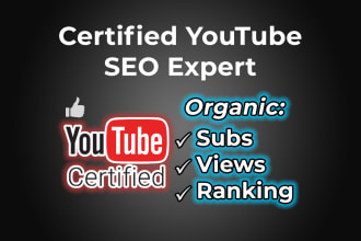 do expert youtube SEO optimizations for channel and videos