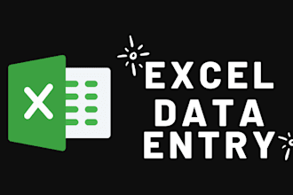 do excel data entry