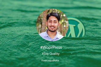 redesign or create a custom wordpress site
