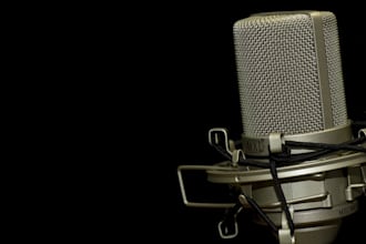 do hindi audio voiceover for your whiteboard explainer