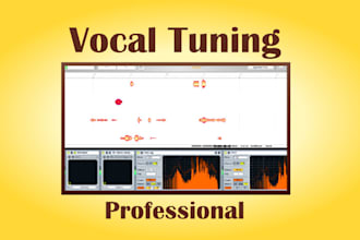 autotune and mix your vocal track