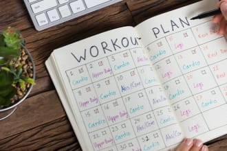 create your  workout plans and meal plans