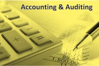 provide auditing services and analysis for the business