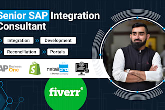 sap expert for API integration, fixes, addons, sap portals