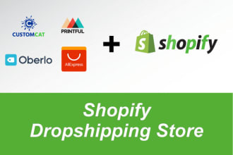 build professional dropshipping shopify store