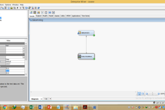 be your SAS enterprise miner guide