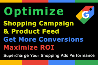 provide google ads campaign auditing, training and consultation via zoom