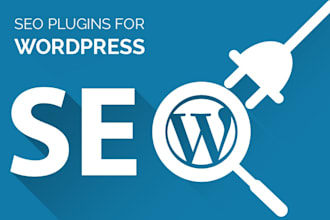 do SEO settings of your wordpress website