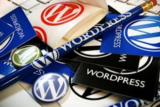 send you any wordpress plugin theme