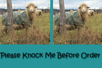 photo retouch, image editing, manipulation