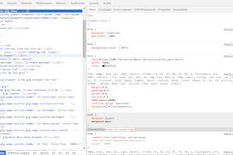 fix wordpress css issues