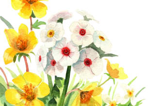 paint any flower or plant using watercolour for you