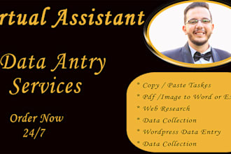 do english, arabic all kinds of data entry
