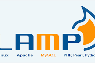install lamp and lemp stack on any linux server