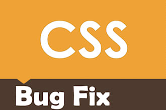fix your CSS Error within 24 hours