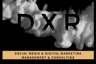 create a social media audit and strategy plan for your brand