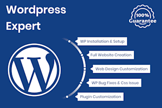 fix your wordpress plugin issues and do custom modifications
