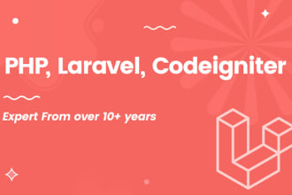 fix or develop any php, laravel, react js or next js website
