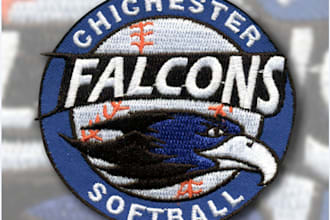 do awesome embroidery digitizing in few hours