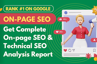 provide complete on page SEO audit to rank higher