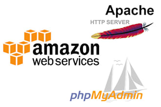 design beautiful wordpress cms site