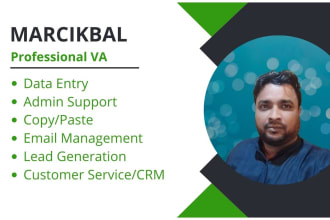 be a virtual assistant for data entry, leads, admin