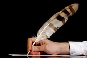write a funny or serious song/story/poem/script on a subject of your choosing