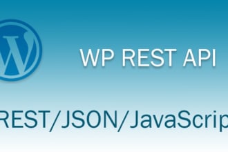 integrate any api in wordpress site