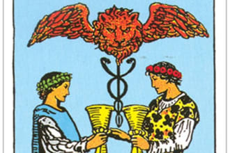 do a fast and detailed tarot love reading for you