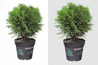 do 200 photo background removal