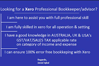 be your xero online consultant