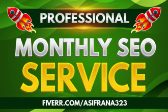 provide monthly drip feed SEO service to boost website ranking