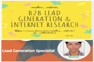 do internet research, b2b lead generation, data entry