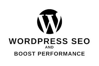 do complete wordpress performance  optimization and SEO