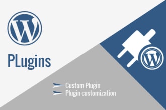 do wordpress plugin development and customization