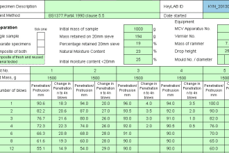 do preparations of reports, excel data entry