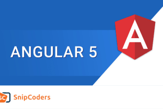 develop and fix angular 5 application
