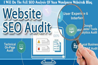 do the complete website audit