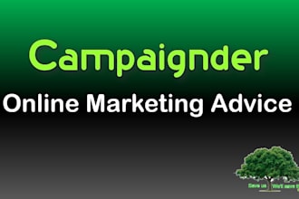 advice you on online marketing