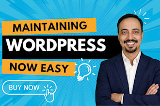 maintain, update, and secure your wordpress website monthly