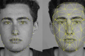 develop face recognition system