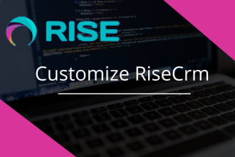 create, customize and fix rise CRM
