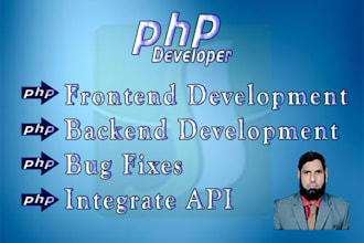 do php development and build website