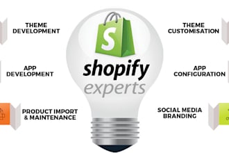 optimize your shopify theme and store