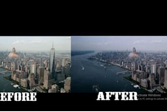 do profesional colour correction,grading and stabilise your videos