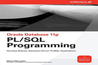 solve any problem you have with oracle forms or plsql