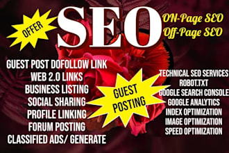 do website onpage SEO and technical optimization service of wordpress site