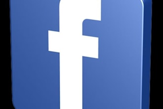 give 7 days of natural US Facebook likes from real people you can interact with, demographics in description